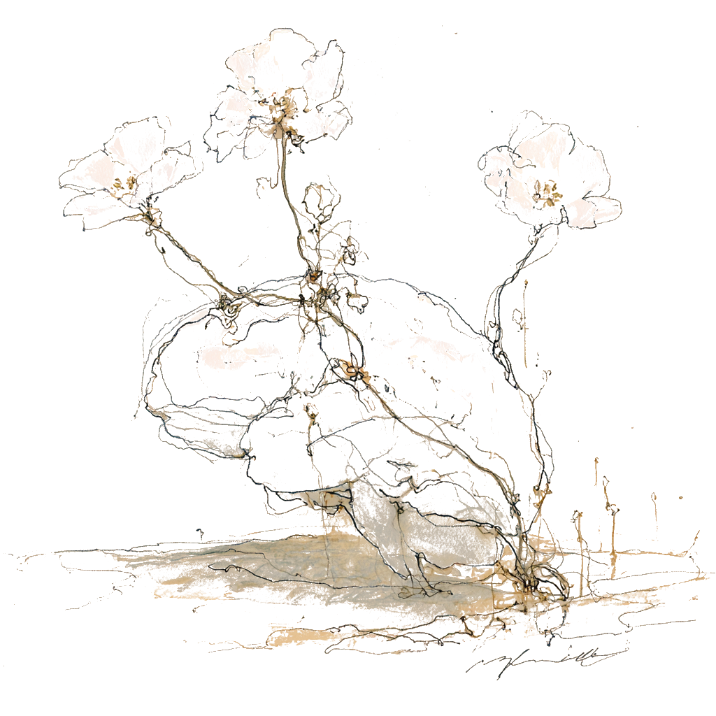 Botanical illustration of a brain with vines — somatic experiencing, Hong Kong