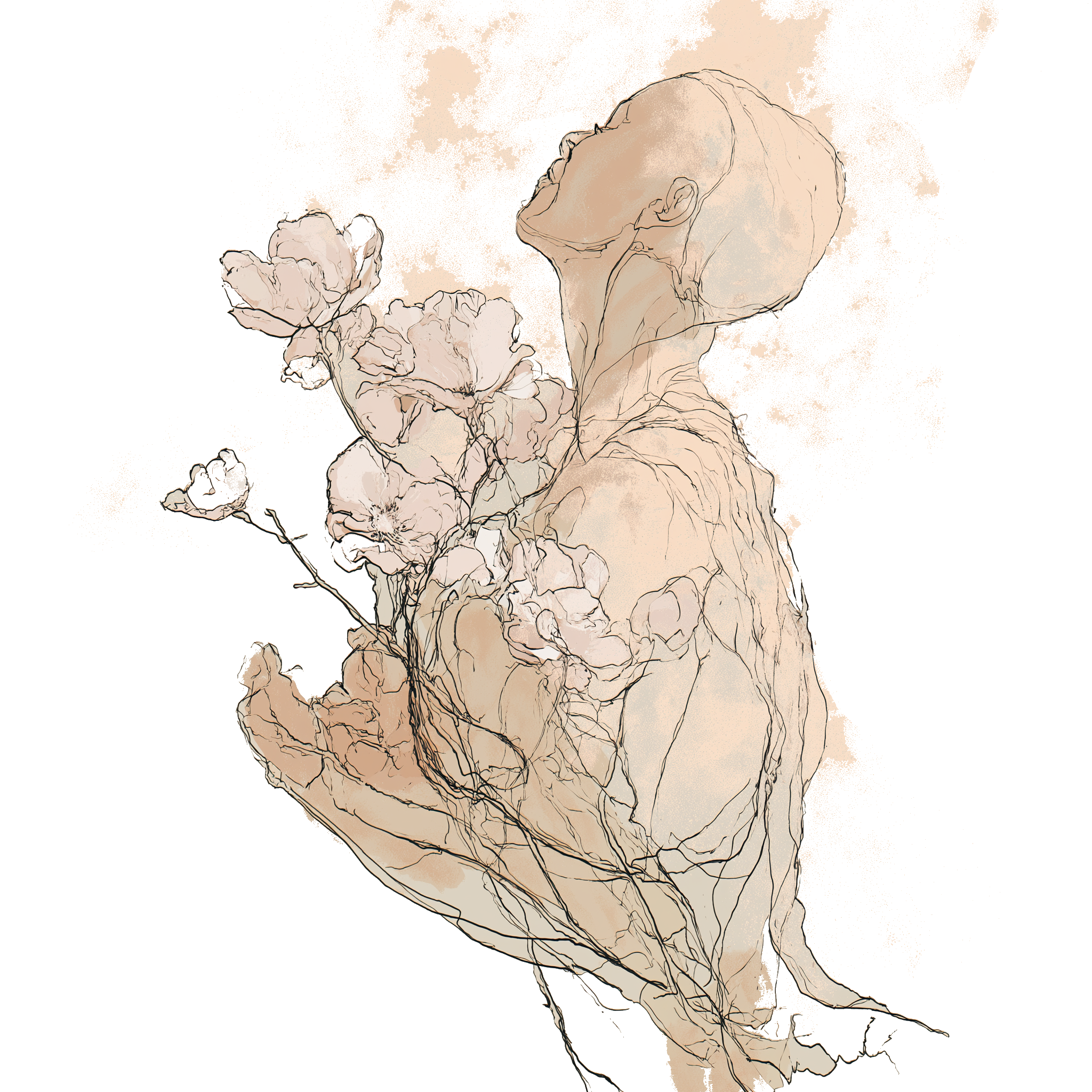 Mirrored arcing lines — the ribcage, the held breath
