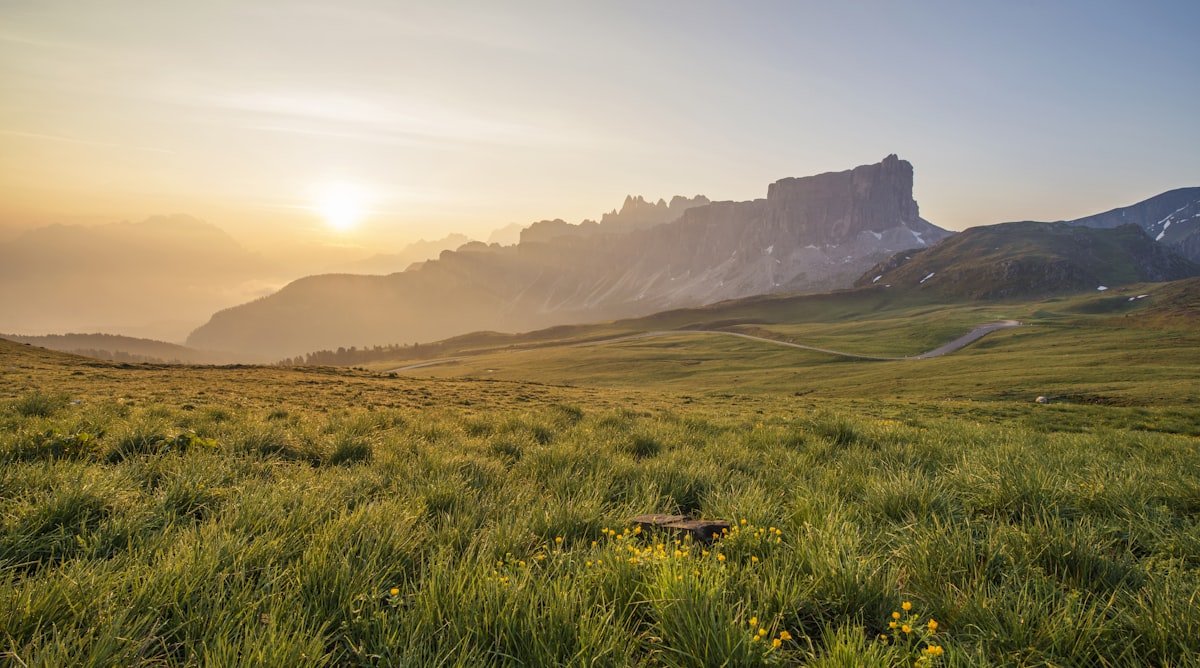 Stillness, the quality of listening