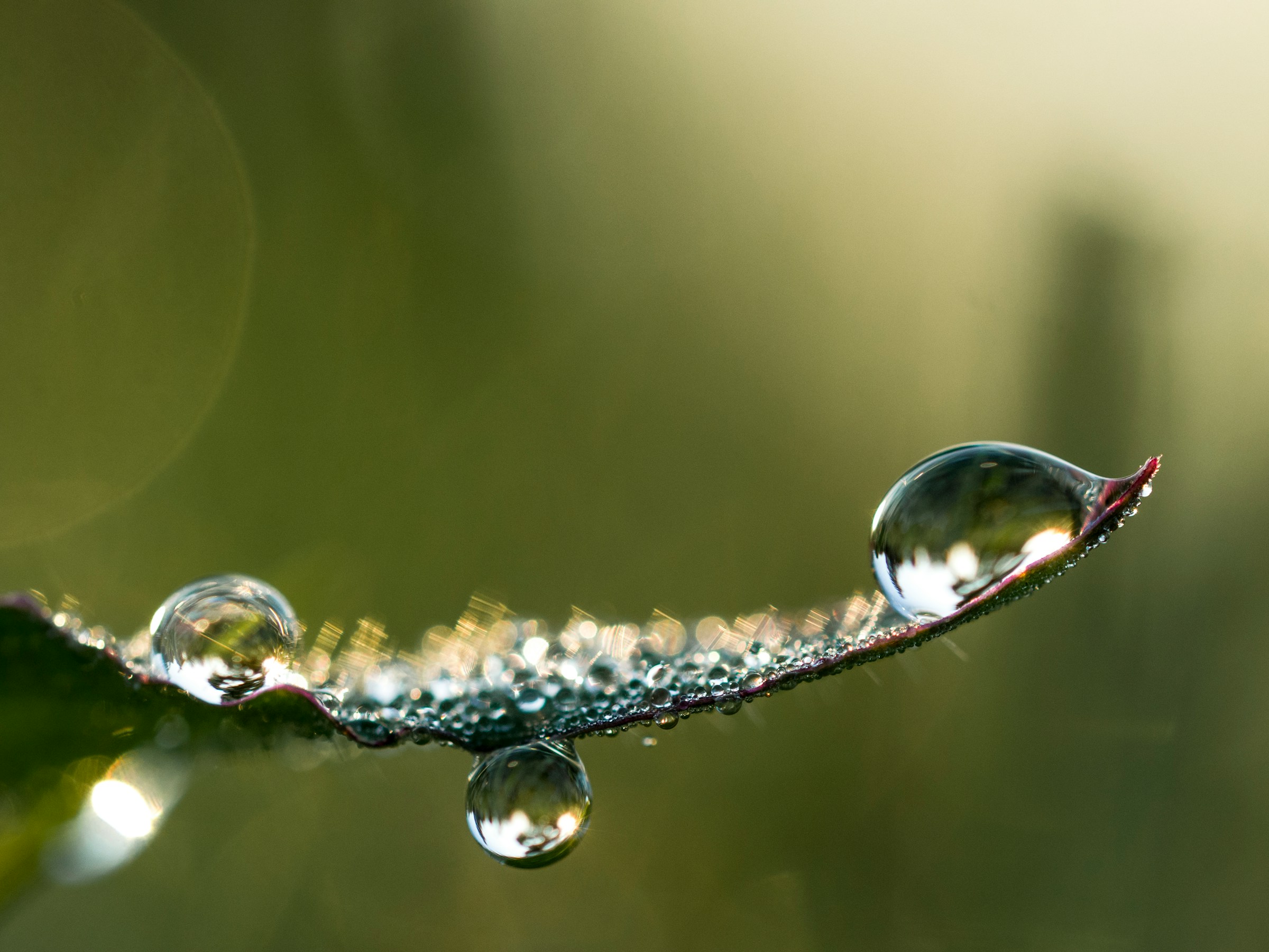 Water droplets, the intimacy of noticing, Resonance Hong Kong